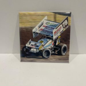 ASSORTED DRIVER MAGNETS